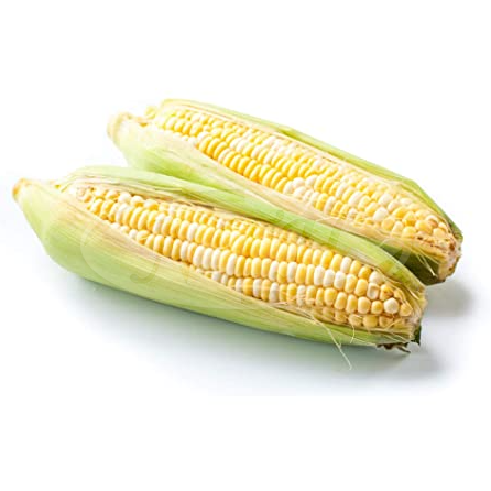 Pearl Sweet Corn/ Jagung Mutiara